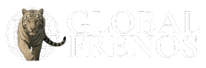globalfrenos.com